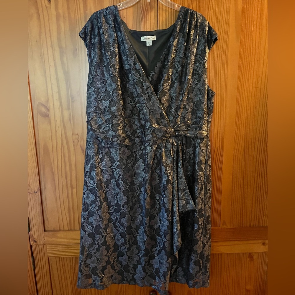 Coldwater Creek Shimmer Lace Dress